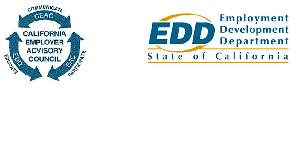 Effective Performance Reviews And The Importance Of Professional