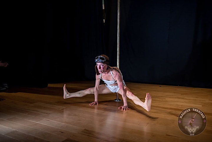 Halifax Theatrix - Pole and Aerial Competition image