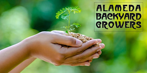 San Ramon Ca Tribal Seeds Events Eventbrite