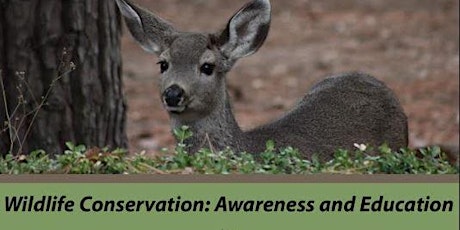 Wildlife Conservation : Awareness and Education primary image