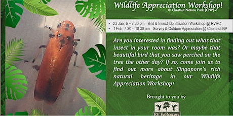 Wildlife Appreciation Workshop (W.A.W) primary image