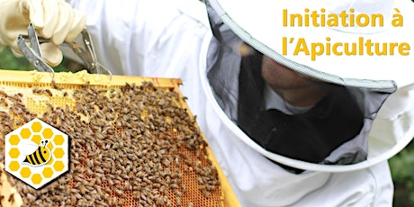 Image principale de Stage d'initiation à l'apiculture