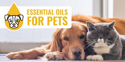 How to Use Essential Oils With Dogs & Cats (Webinar)