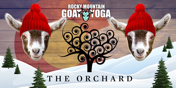 Goat Yoga - February  15th (Orchard  Town  Center)