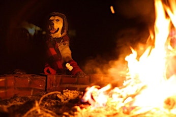 Barkin' Bonfire- Powered by PetBox primary image