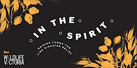 In the Spirit Fundraiser - Mexico for Australia primary image