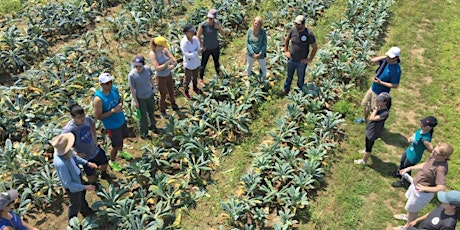 Boston Area Gleaners Volunteer Appreciation Potluck primary image