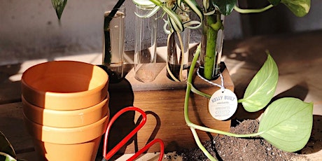 Green Your Thumb: Intro to Propagation Workshop primary image