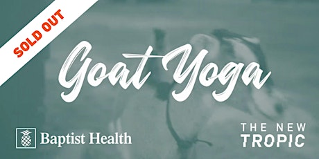 SOLD OUT: Goat Yoga: Get Down with the Kids