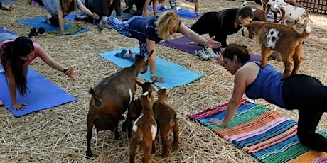 Baby Goat Yoga Pajama Party by Lavenderwood Yoga at Eden Gardens primary image