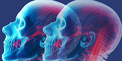 Imagen principal de Neurosurgical Approaches to Intracranial Compartments