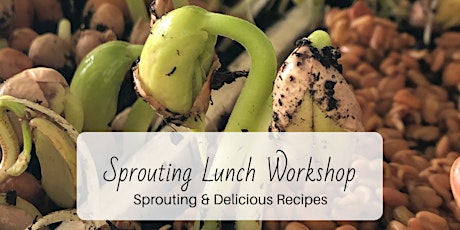 Sprouting Workshop & Lunch: Healthy Foods at Home primary image