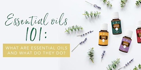 Essential Oils 101 + Toxic Free Living primary image