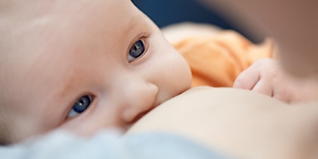 Allaitement et allergies, comprendre son bébé pour le stabiliser rapidement primary image