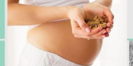 Taller de alimentación en el embarazo primary image