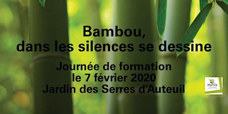 Image principale de « Bambou, dans les silences se dessine » 7 février 2020 prochain de 8h30 à 17h aux Serres d’Auteuil à Paris