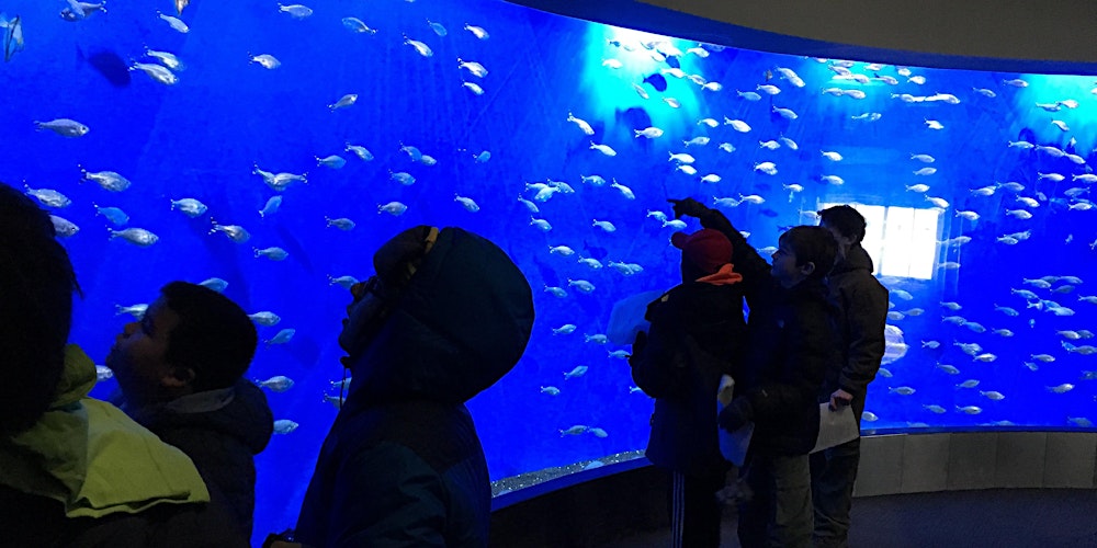 T10 Omaha Zoo Tour And Campout Tickets Sat Feb 15 2020 At 2 30