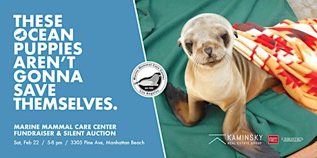 Save the Ocean Puppies!