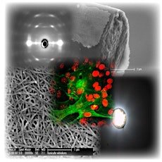 Nanocellulose Fibres: From Bacteria, to Sea-Creatures to Nanopaper primary image