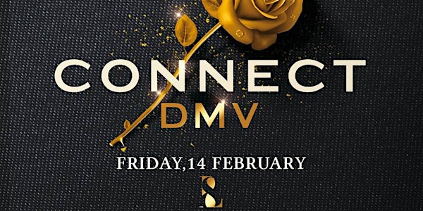 02/14 [Connect DMV] Networking @L8 Lounge
