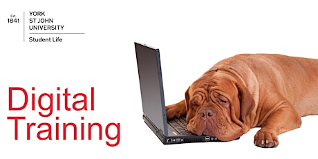 WordPress: Getting Started sign-up for 3SR210 Gp 1 (Tue 17 Mar 2020 15:00-16:00) primary image
