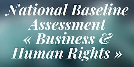 Primaire afbeelding van National Baseline Assessment "Business & Human Rights" S/F
