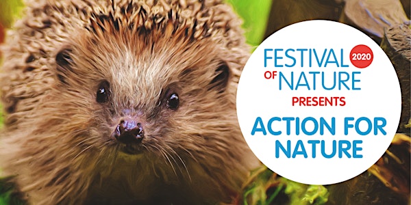 Festival of Nature presents: Action For Nature