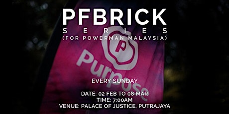 PFBRICK Series (For Powerman Malaysia) primary image