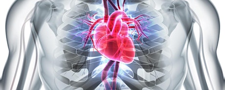 Palpitations,arterial fibrillation & Cardiac Imaging Diagnostics primary image