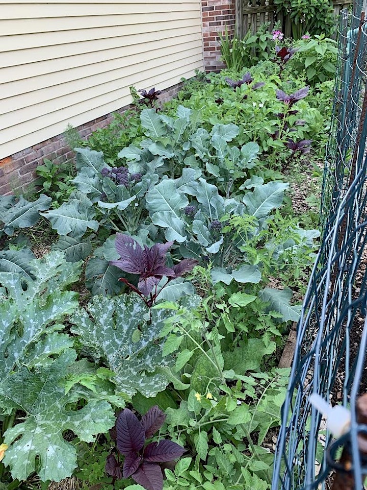 Intro To Permaculture Design Tickets Sat Mar 21 2020 At 9 00 Am