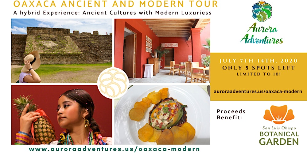 Oaxaca Ancient Modern Tour Tickets Tue Jul 7 2020 At 1 00 Pm
