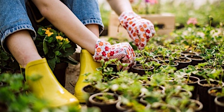 Designing your garden for all seasons - June primary image