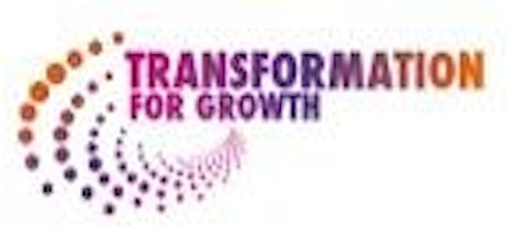 Transformation for Growth -  Positive Psychology in SMEs primary image