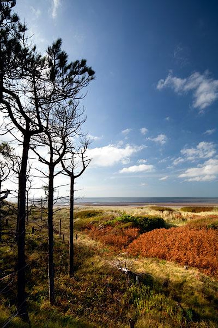 Rimrose Valley and Waterloo and Crosby Beach Walk - Seaforth to Hightown image