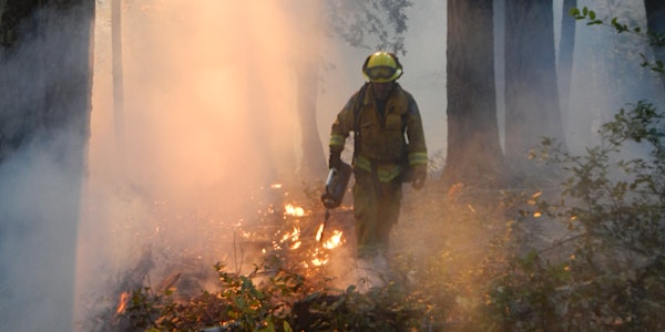 Burning in the Fog: Bay Area Prescribed Fire Council's 2020 Summer Meeting