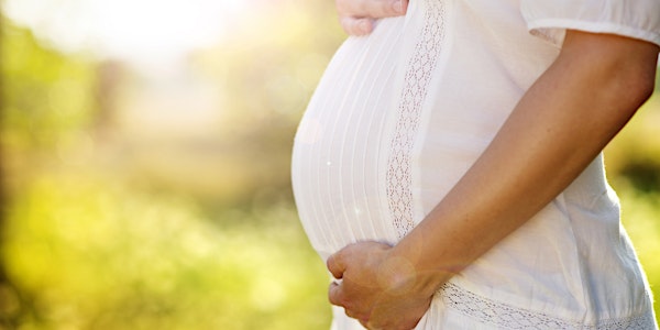 Nutrition Therapy for Fertility and Pregnancy Nutrition 2020