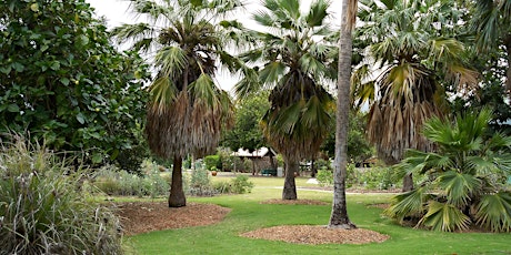 Green Walk - Maui Nui Botanical Gardens (Kahului, Maui)