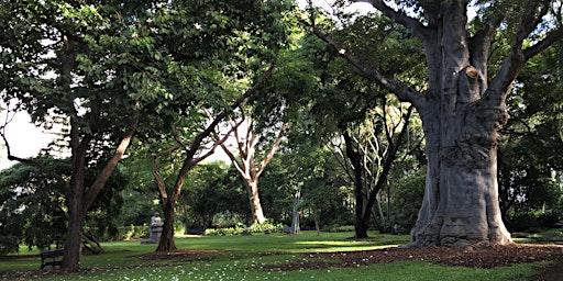 Kahaluu Hi Health Tour Events Eventbrite