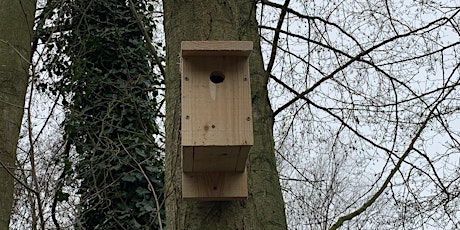 Under Construction - Build a Nestbox primary image