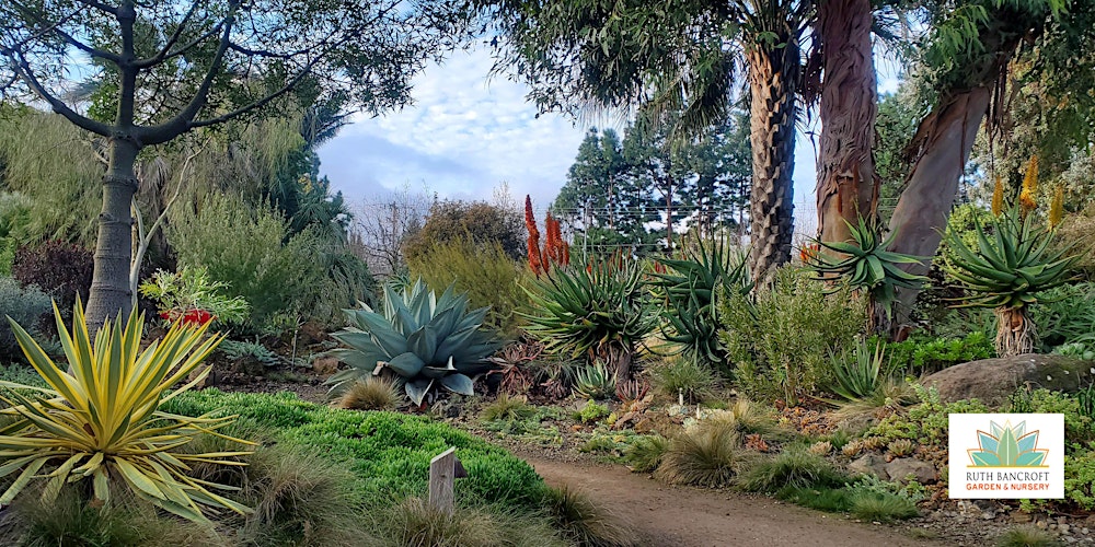 Ruth Bancroft Garden General Admission Any Single Day Tickets