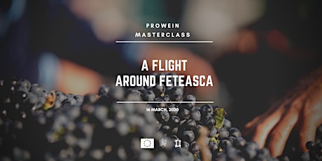 MasterClass | A Flight around Feteasca (EN/DE) primary image