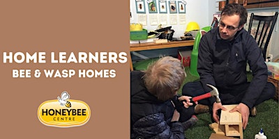 Image principale de Bee and Wasp Homes- Home Learners