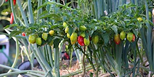 Aldie Va Lifestyle Events Eventbrite