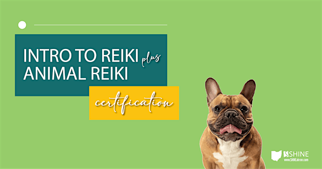 Intro to Reiki + Animal Reiki Combo training primary image
