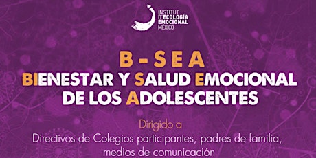Imagen principal de Presentación Encuesta B-SEA BIenestar y Salud Emocional de los Adolescentes