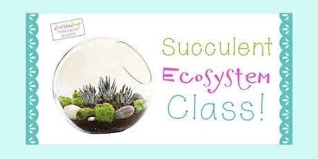 Succulent Ecosystem Class! primary image