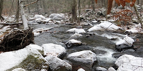 Southern Harriman Day Hike THIS Saturday! primary image