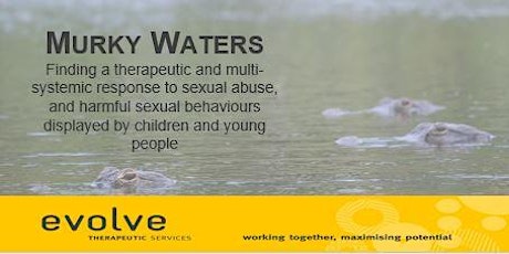Murky Waters - Finding a therapeutic and multi-systemic response to sexual abuse, and harmful sexual behaviours displayed by children and young people primary image
