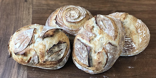 Introduction to Sourdough Bread Baking