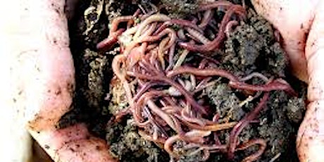 Introduction to Worm Farming (Vincentia) primary image